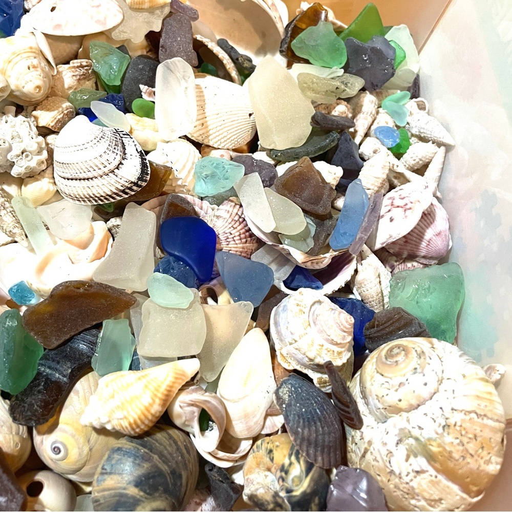 Beach Mystery Lot! Assorted Seashells and Sea Glass - 30 Pieces